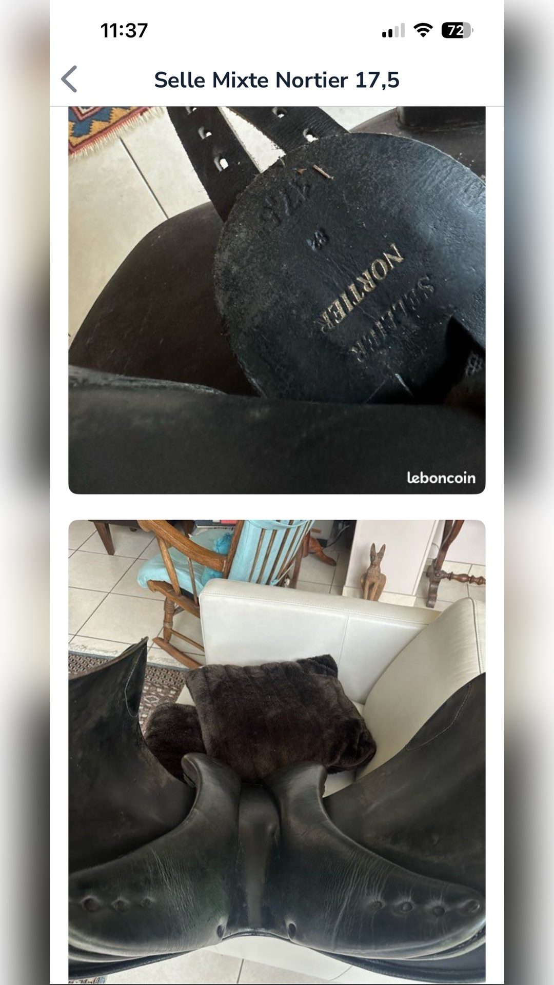 À vendre selle mixte Norton 17.5 noire, média 4