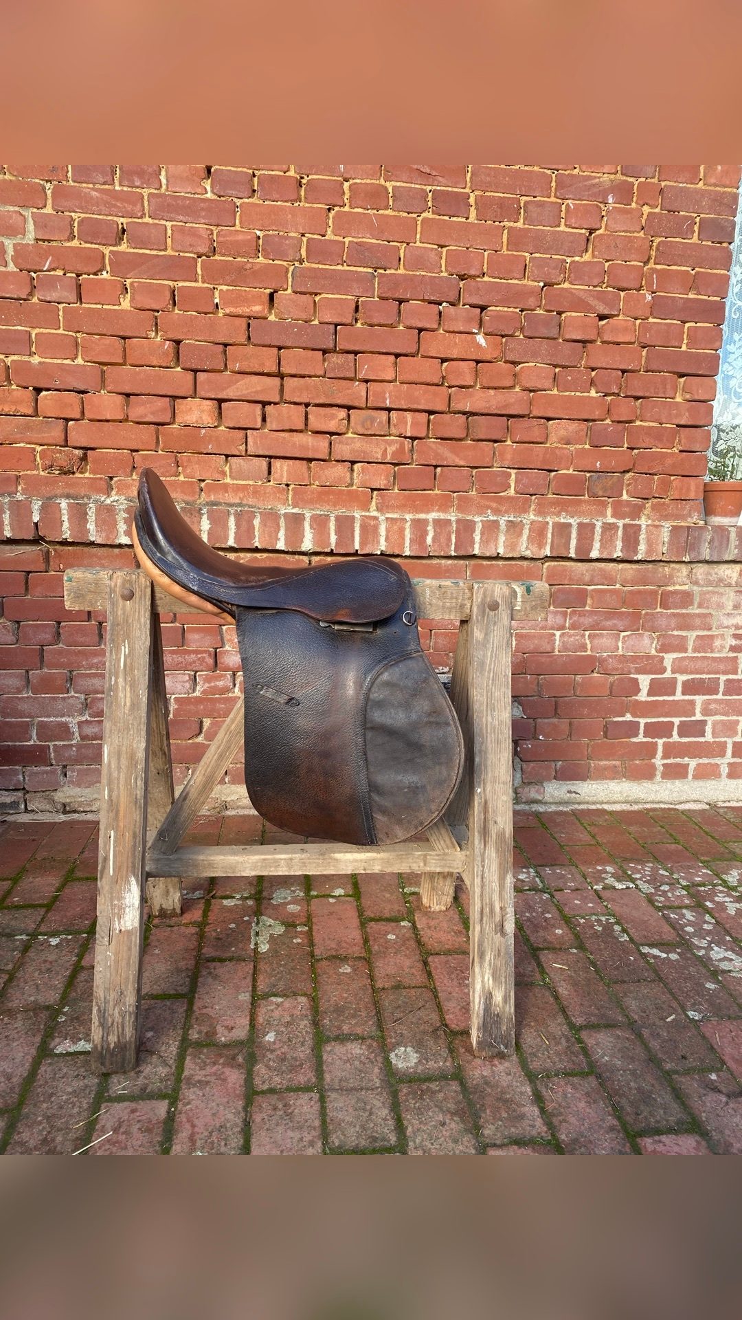 Selle à vendre, média 7