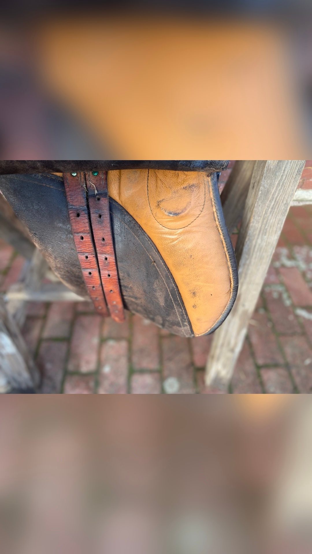 Selle à vendre, média 8