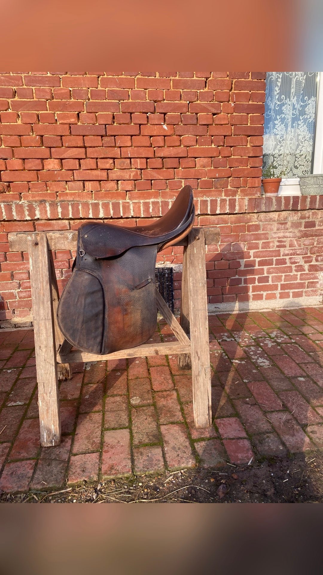 Selle à vendre, média 9