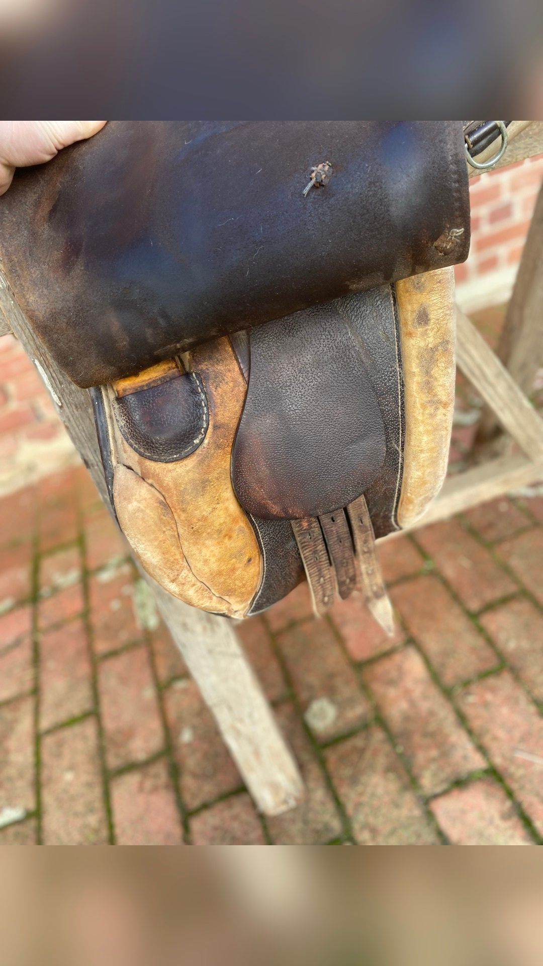 Selle à vendre, média 2