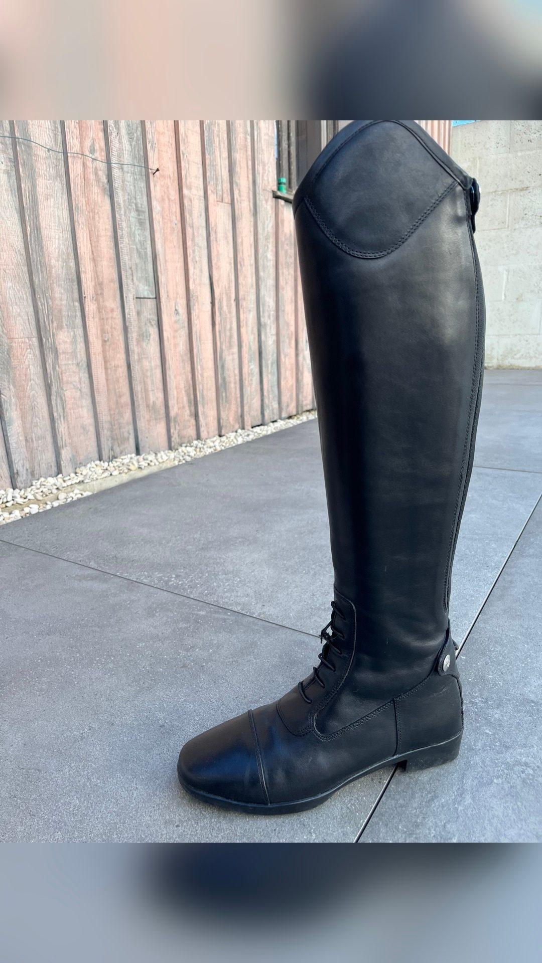 Bottes femme Privilège équitation 41 mollet s, média 2