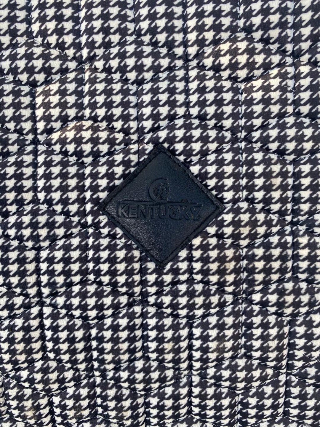 Tbe tapis saut kentucky, média 4