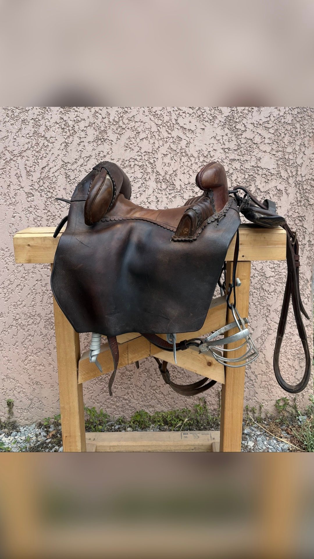 Selle Camargue, média 2