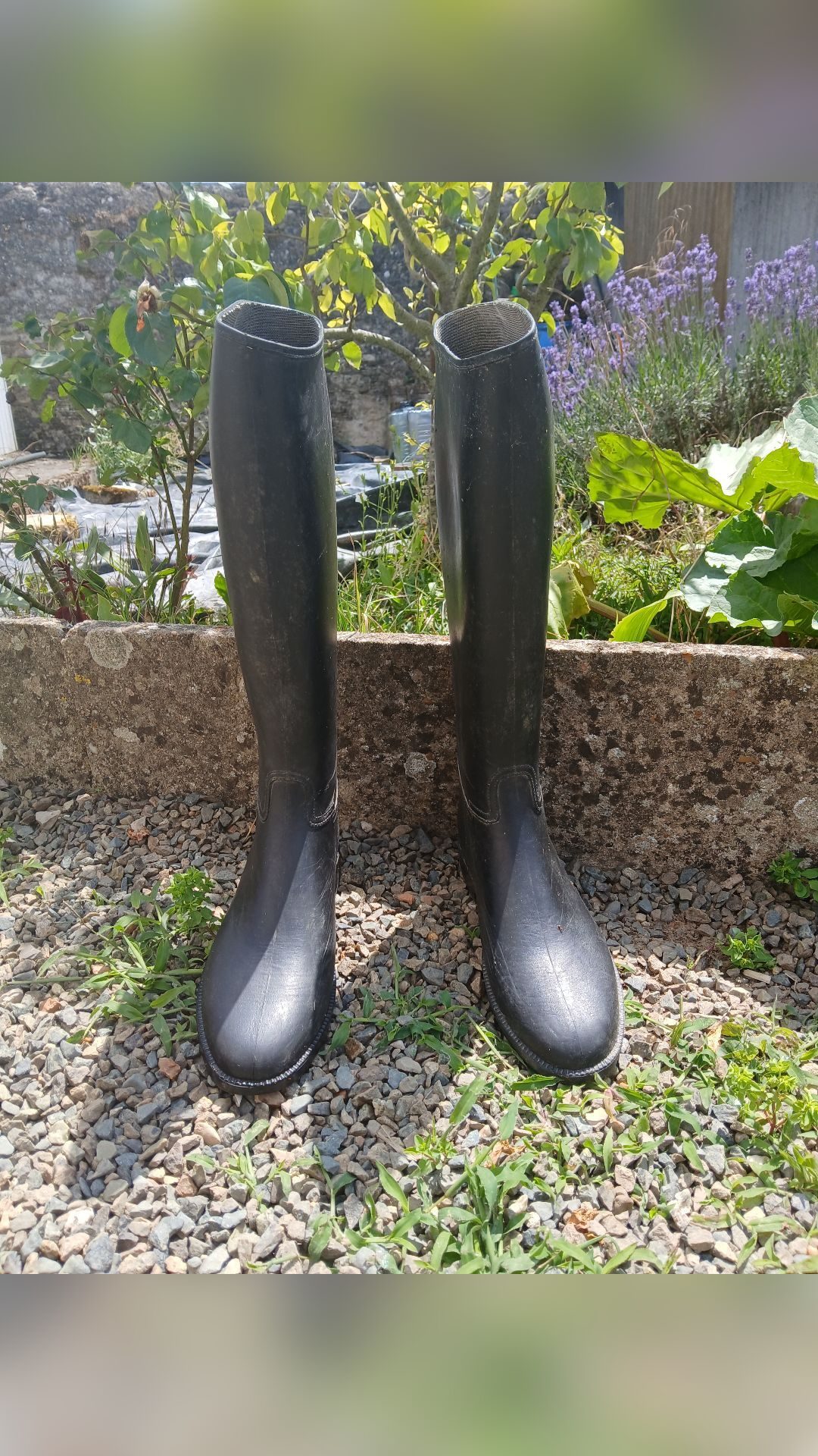 Bottes en plastique, média 2