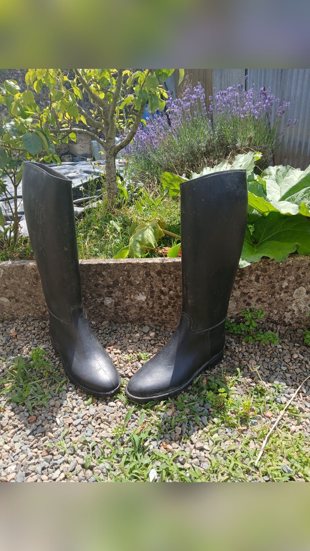 Bottes en plastique, média 4