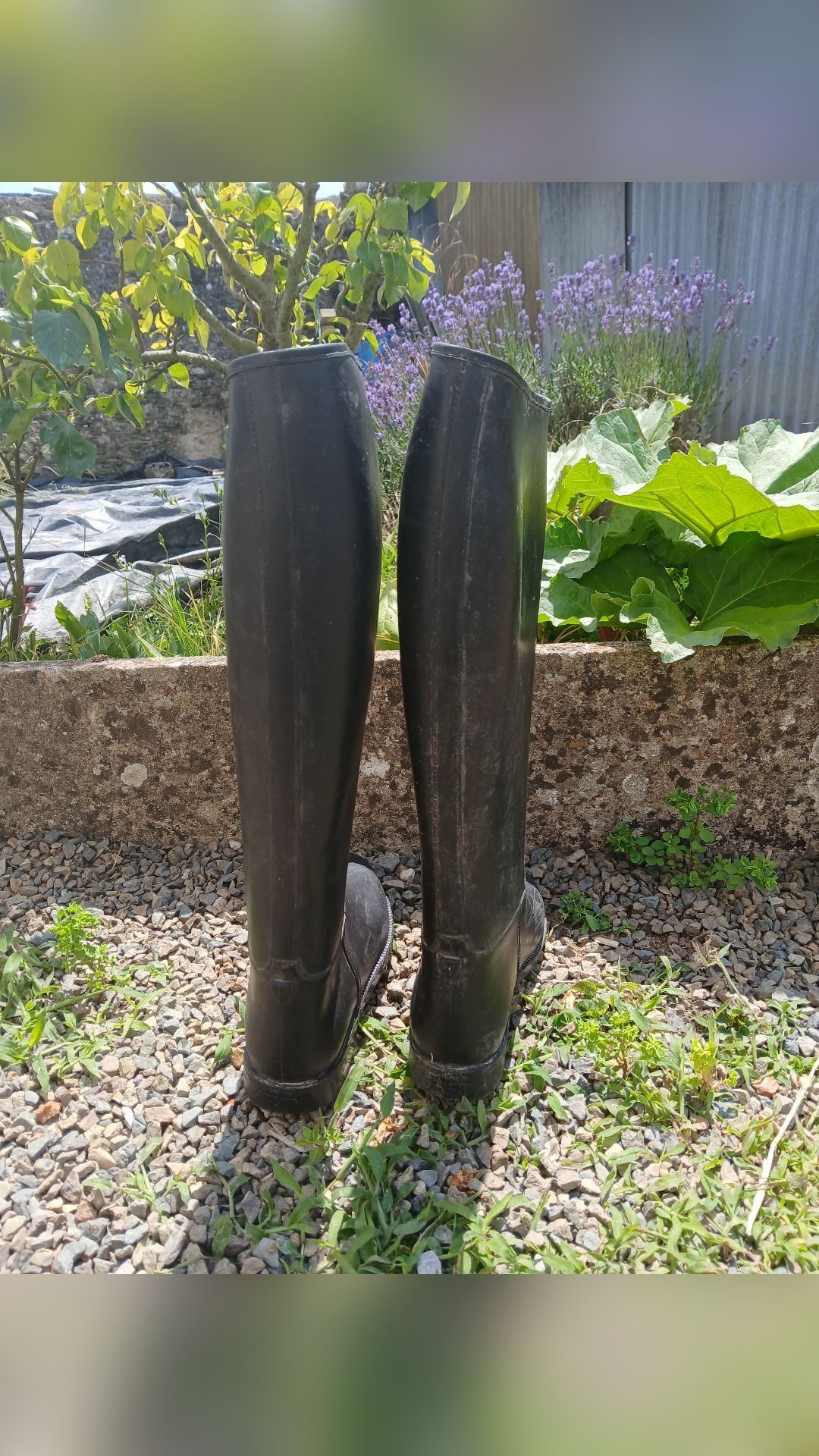 Bottes en plastique, média 5