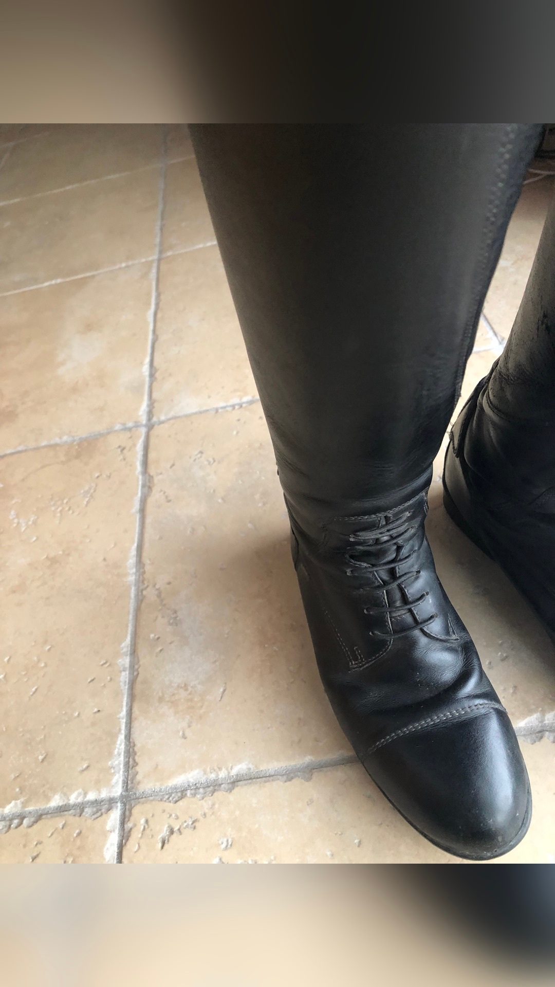 Botte équitation marque Equithème Primera, média 5