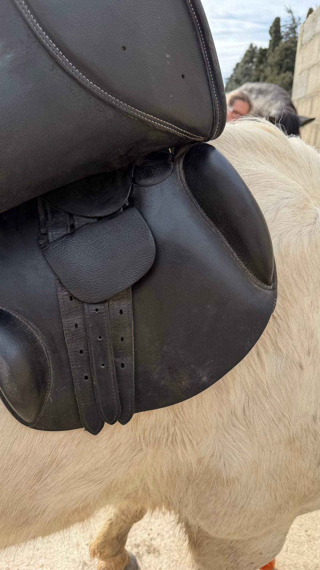 Selle, média 3