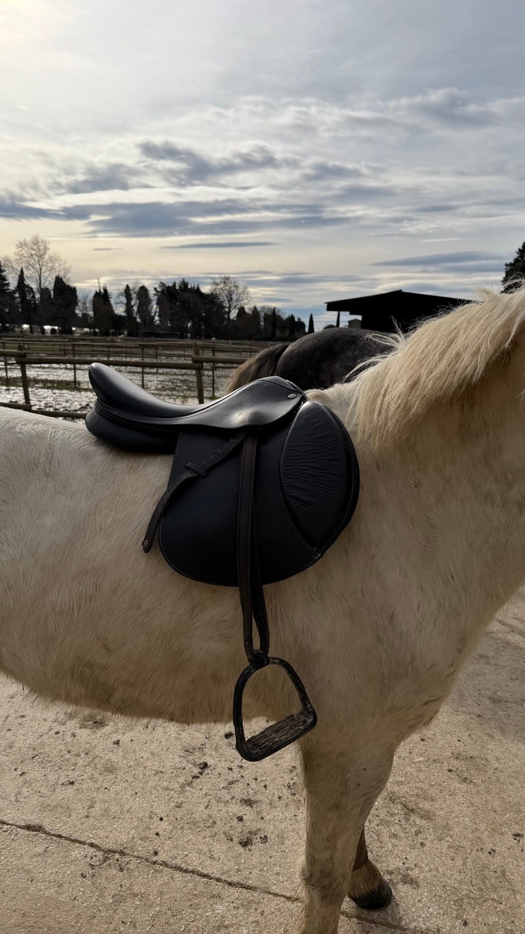 Selle, média 4