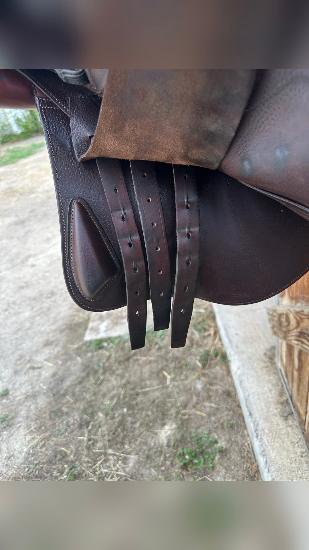Selle CWD, média 6