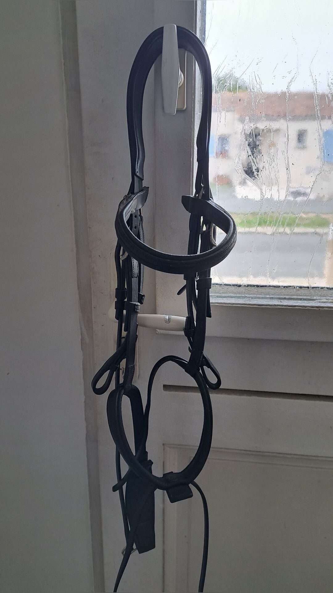 Bridon Antarès, média 5
