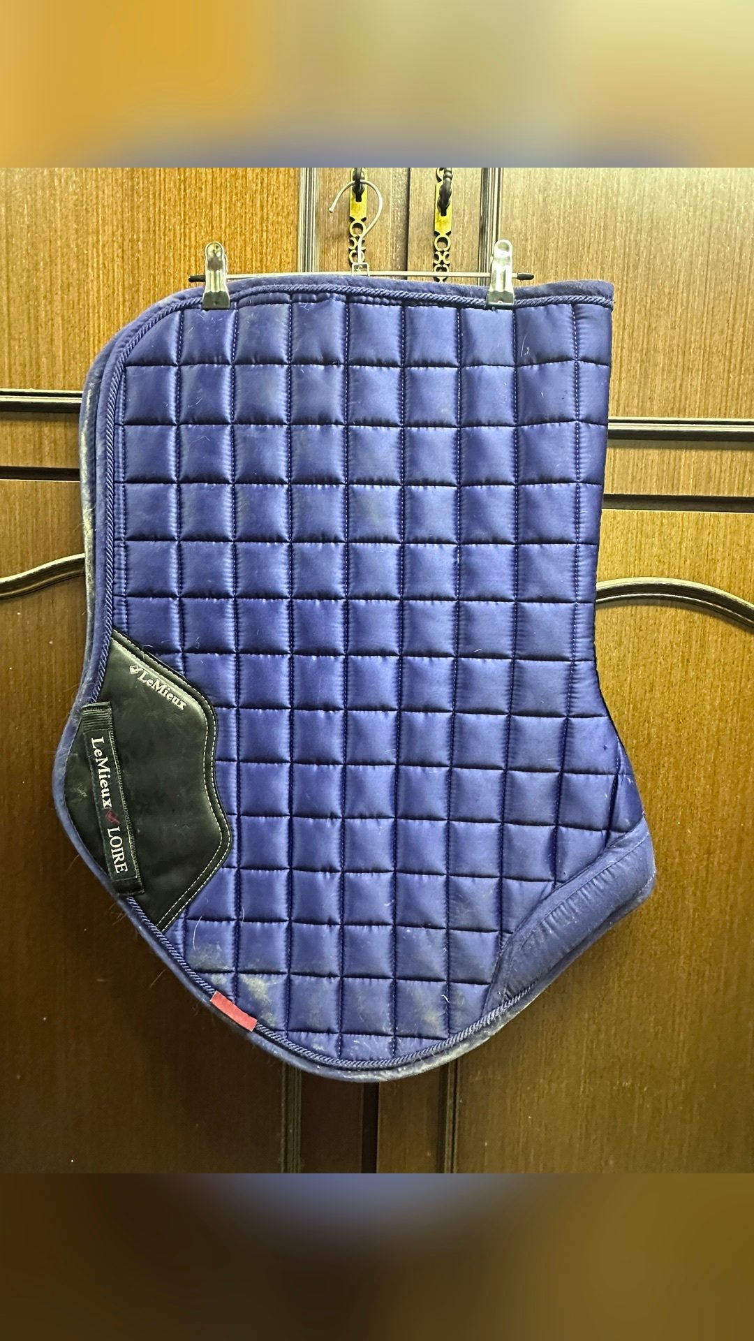 Tapis cso Lemieux, média 2