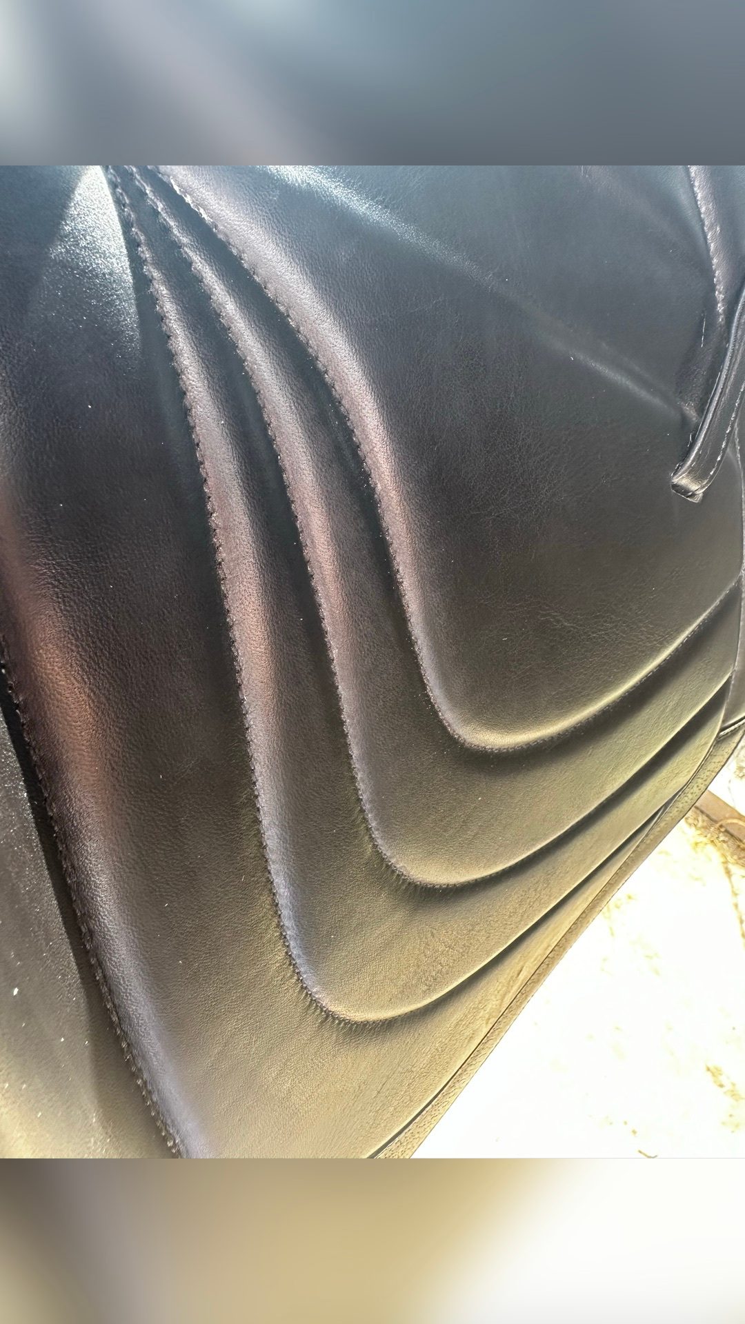 Selle de dressage, média 2