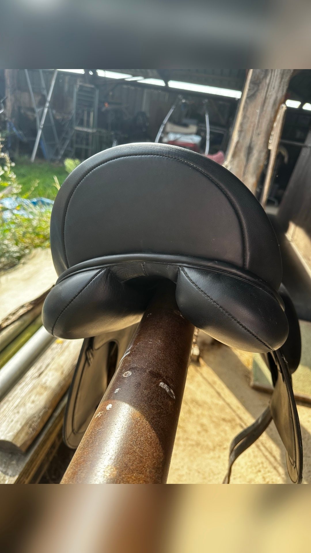 Selle de dressage, média 5