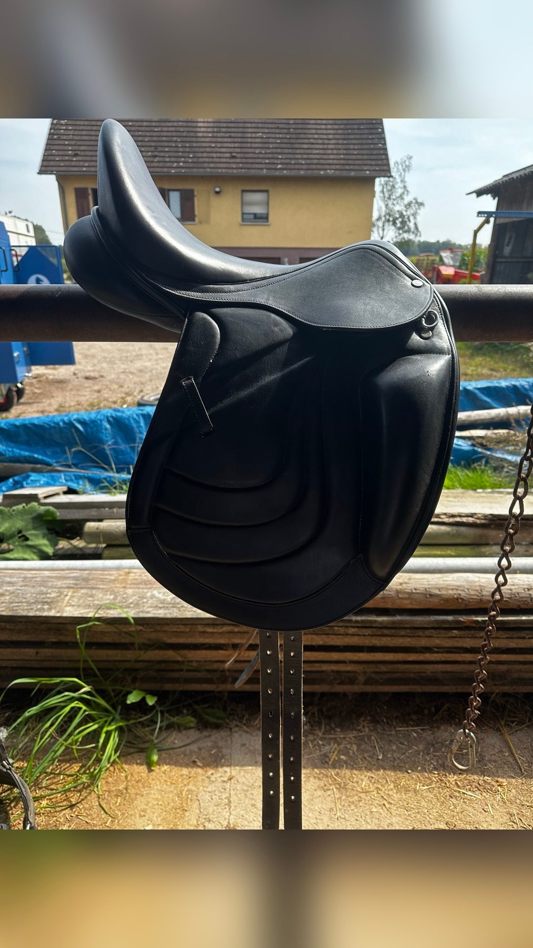Selle de dressage, média 6