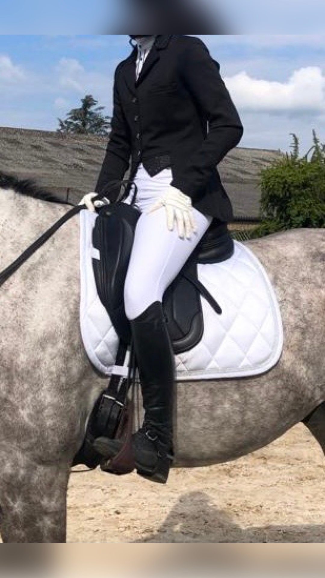 Selle de dressage, média 2