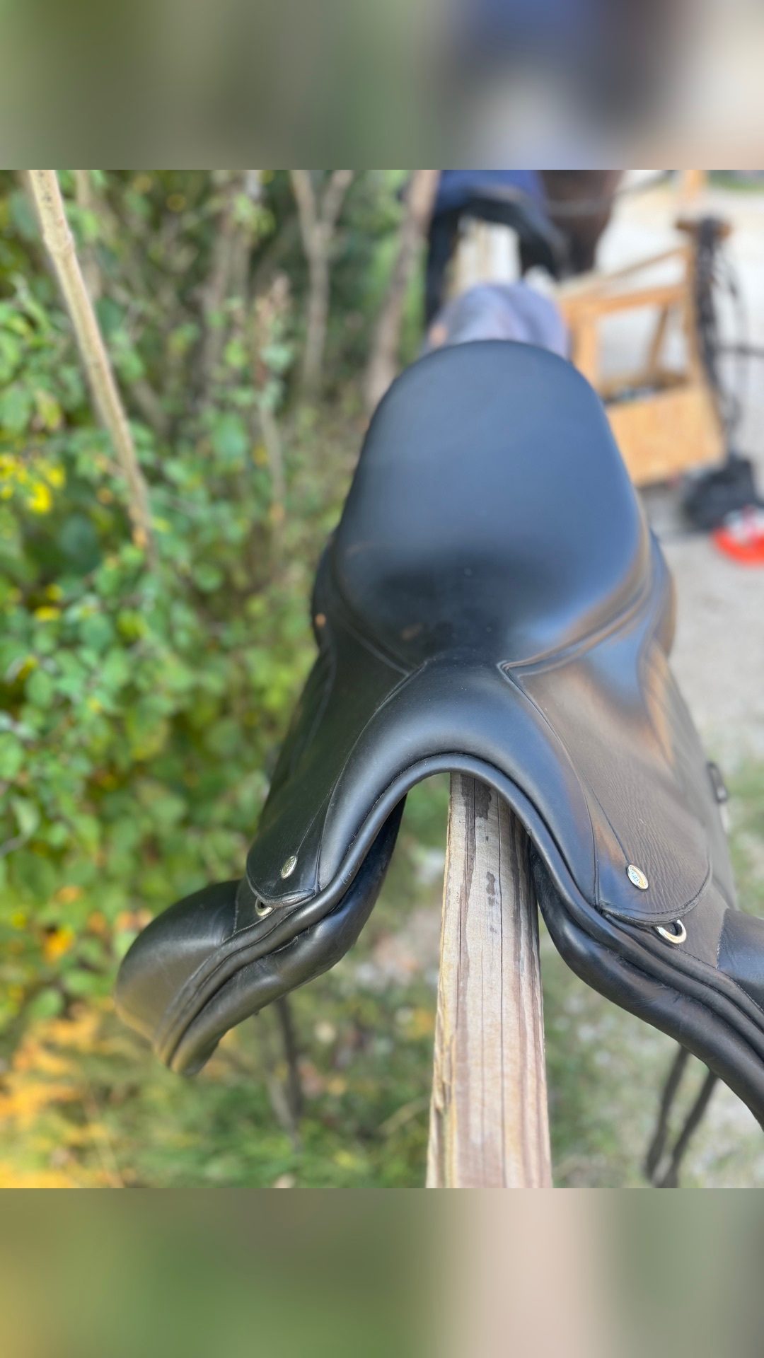 Selle dressage Meyer, média 4