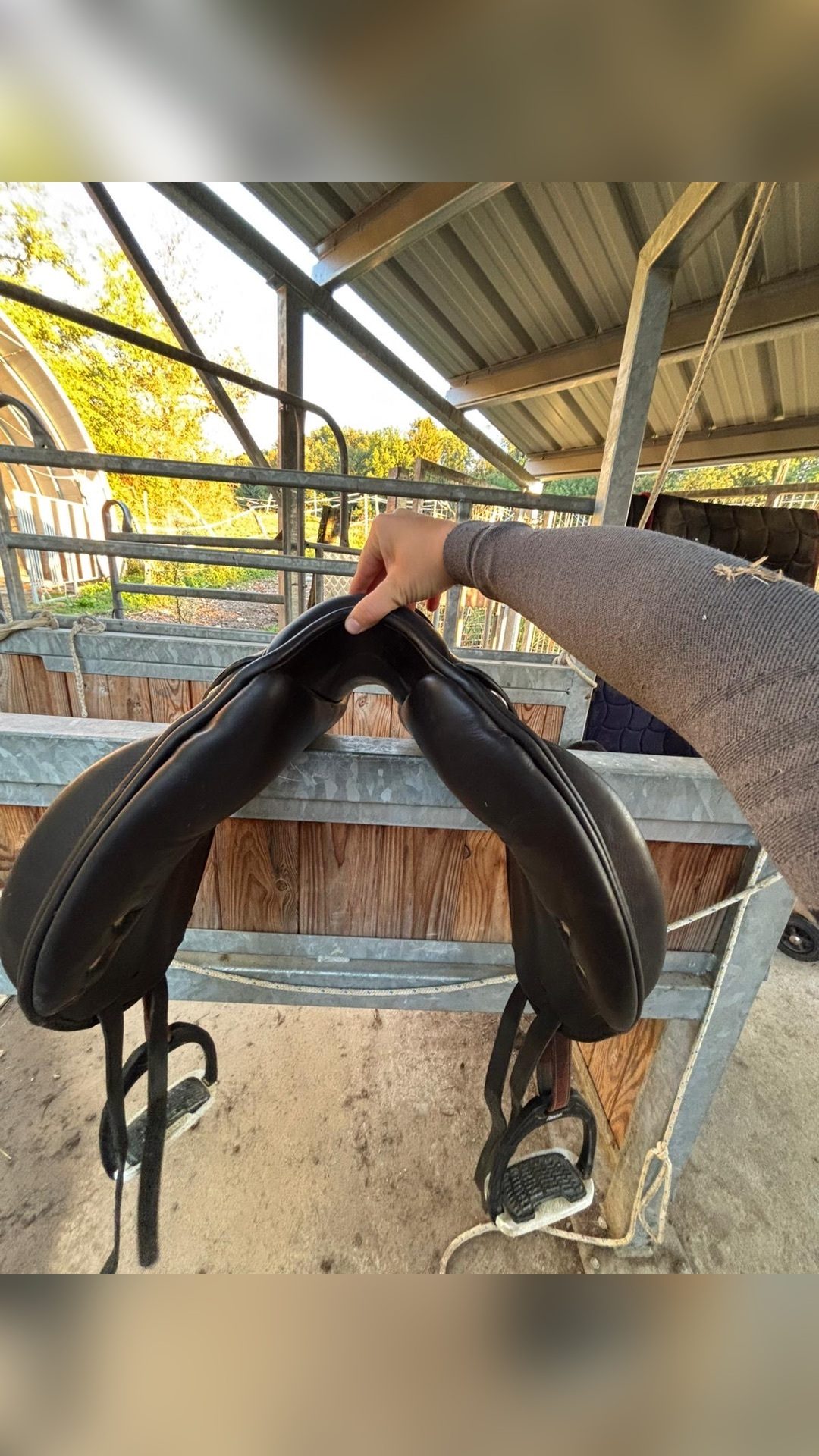Selle dressage Meyer, média 3
