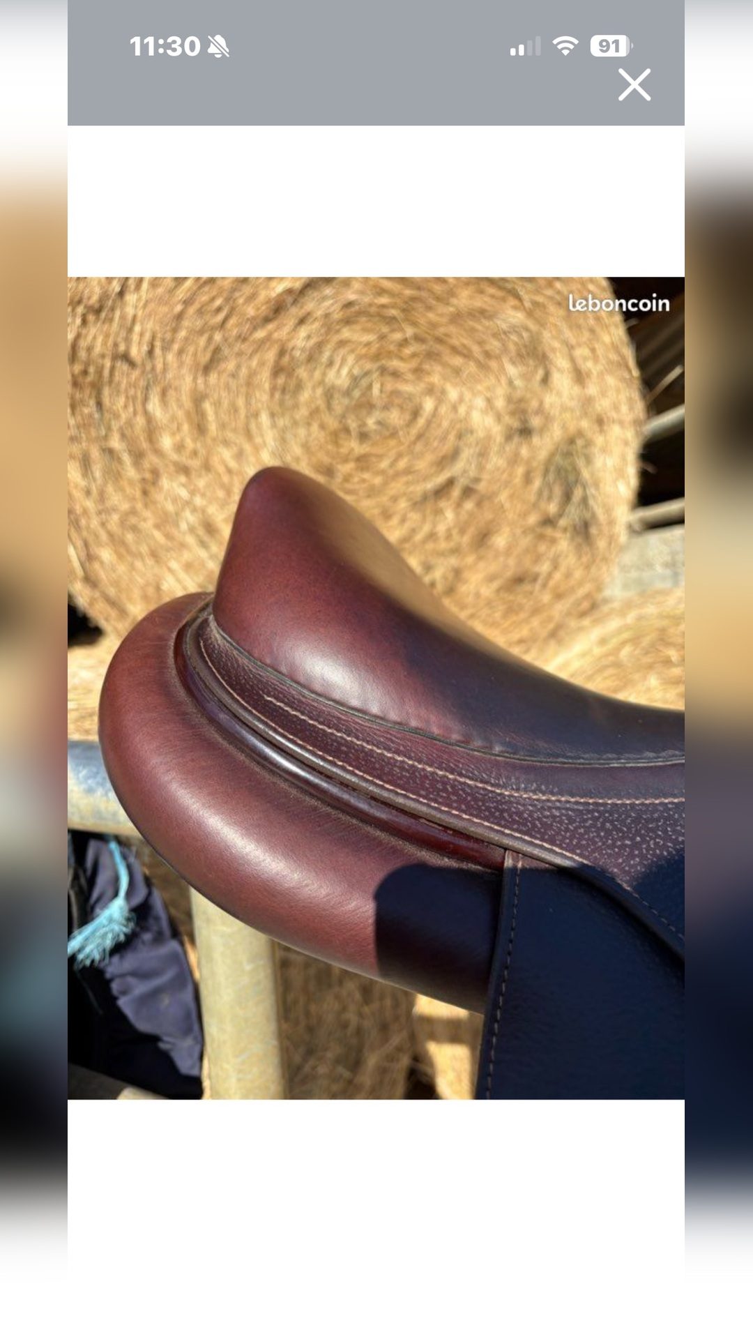 Selle GBS 16.5, média 8