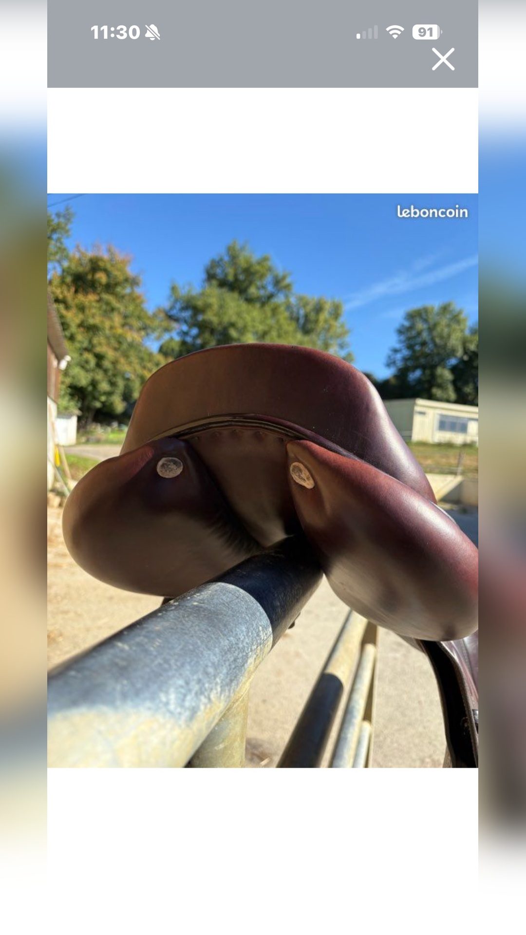 Selle GBS 16.5, média 4
