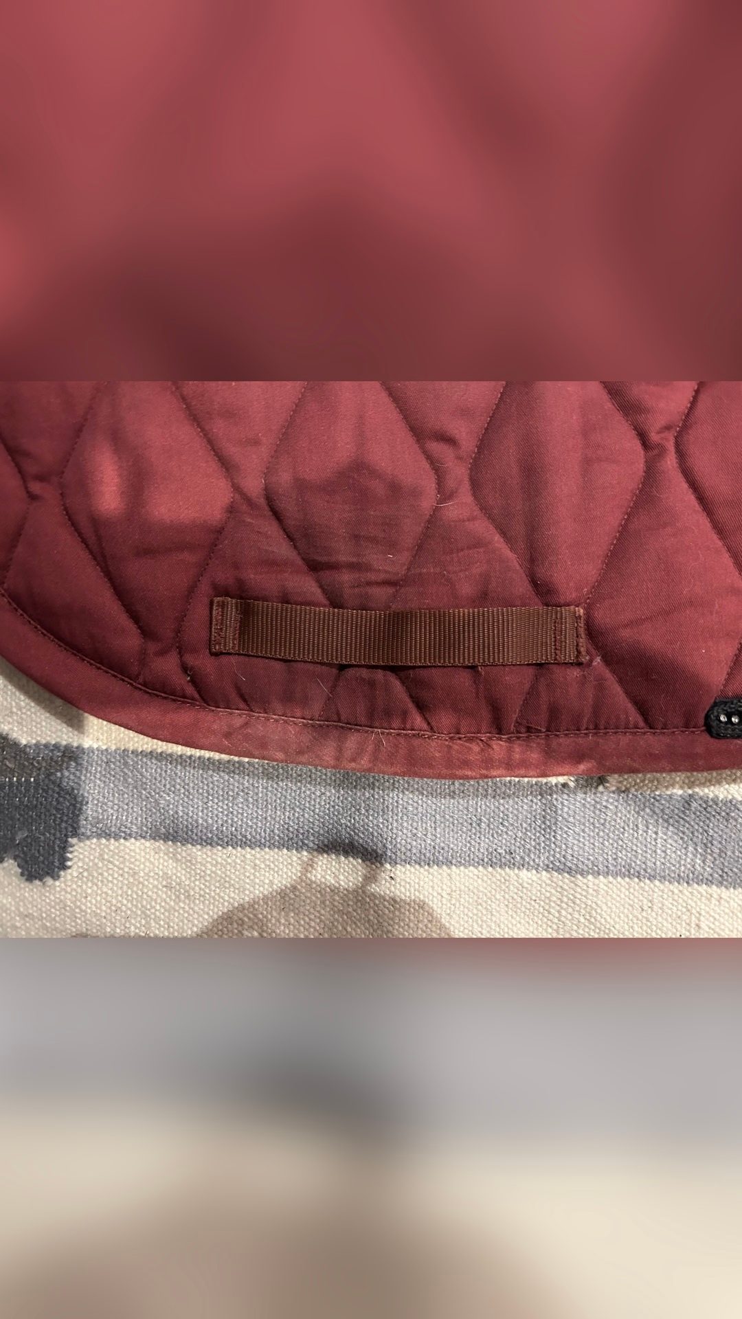 Tapis d’équitation bordeaux, média 3