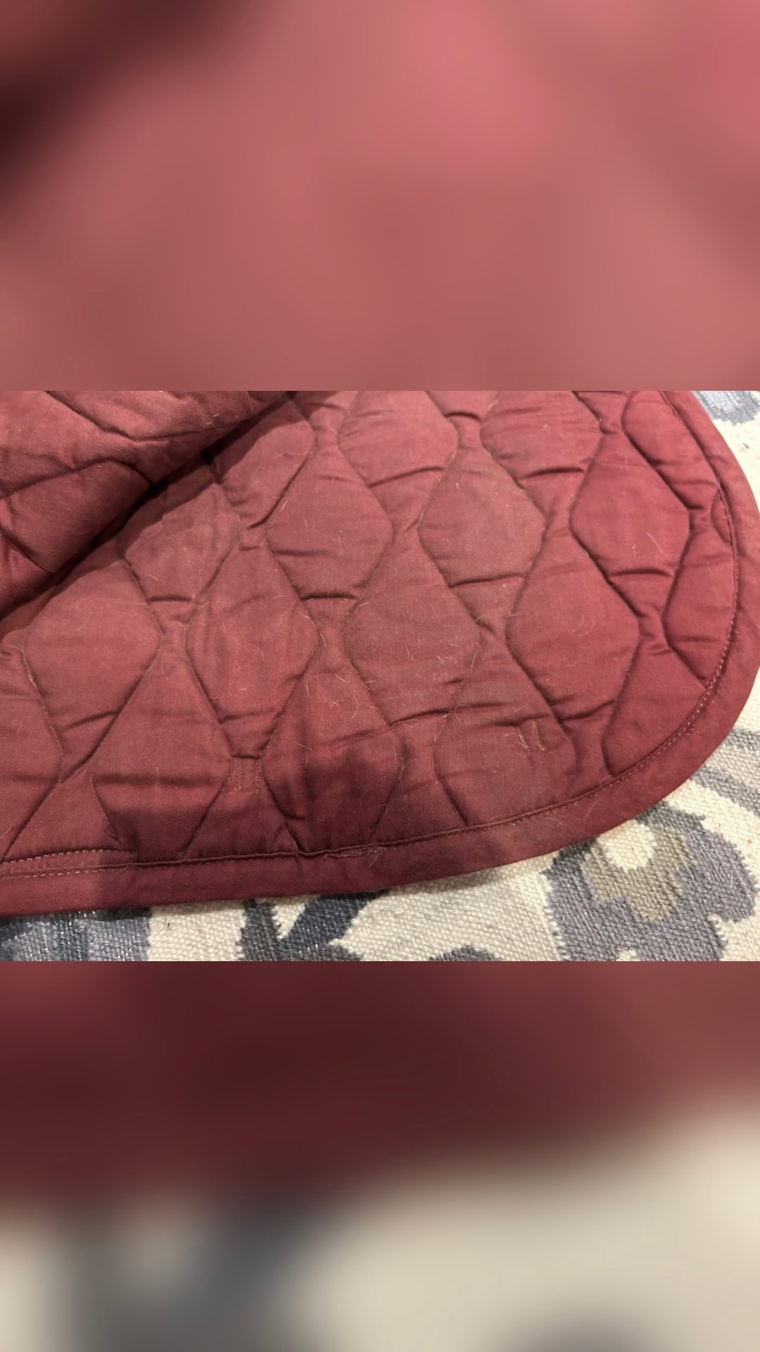 Tapis d’équitation bordeaux, média 5