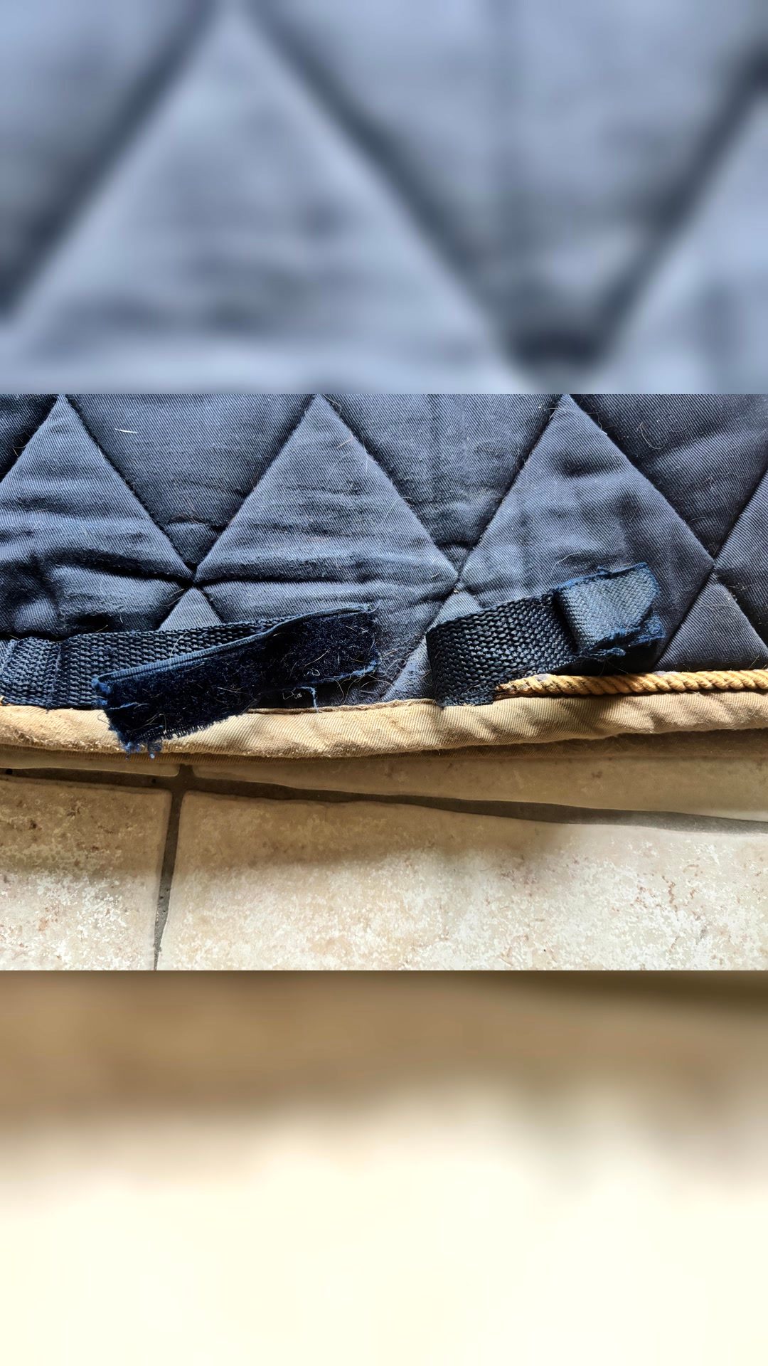 Tapis bleu, média 4