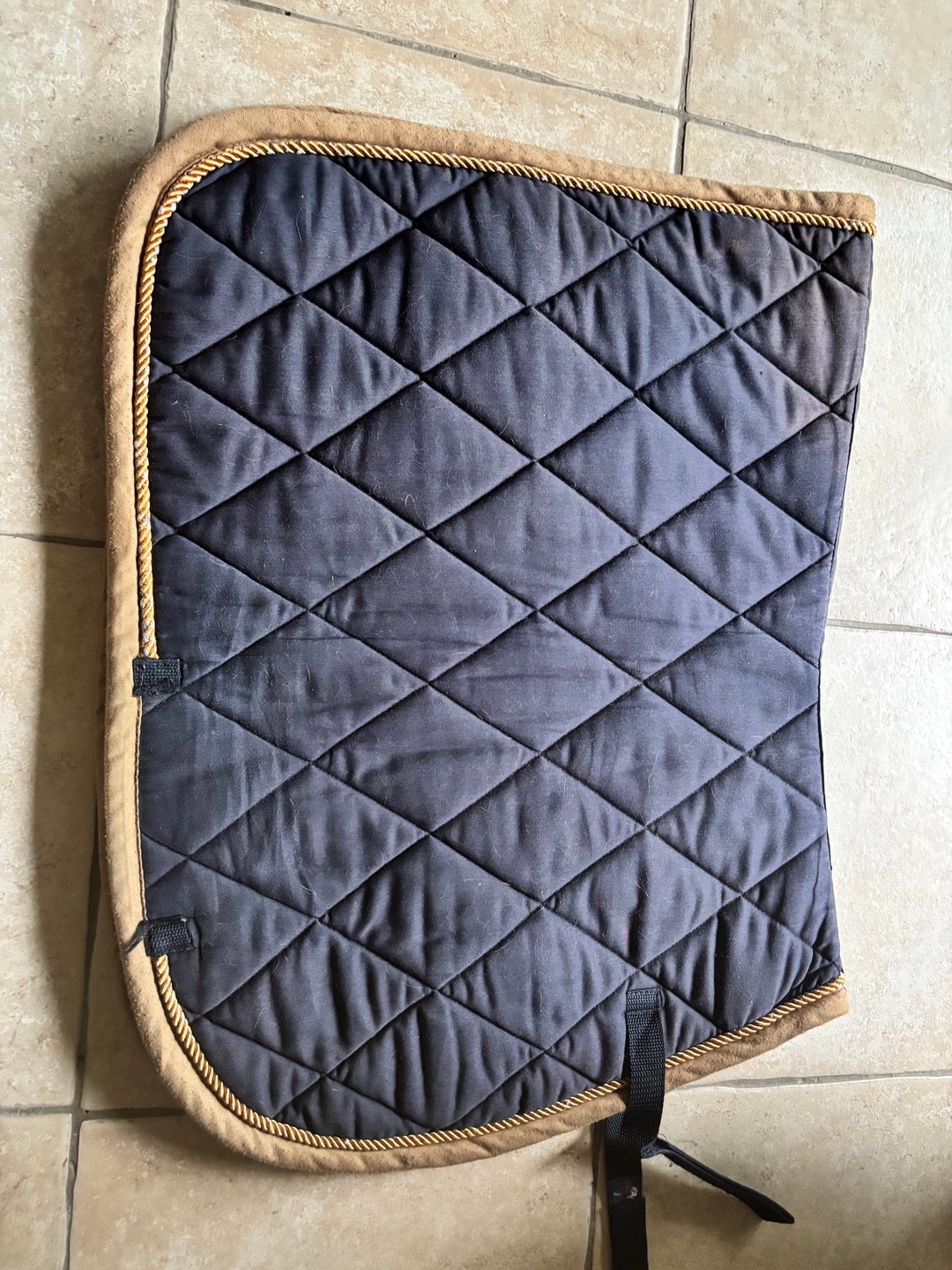 Tapis bleu, média 2