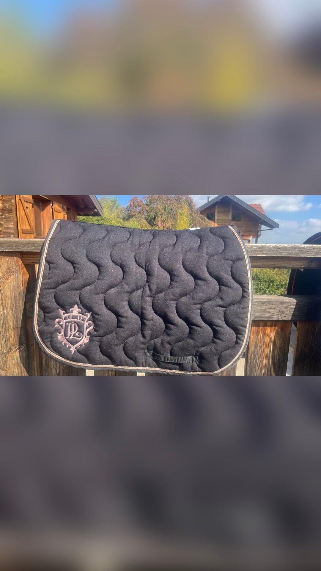 Tapis Pénélope noir et rose, média 3