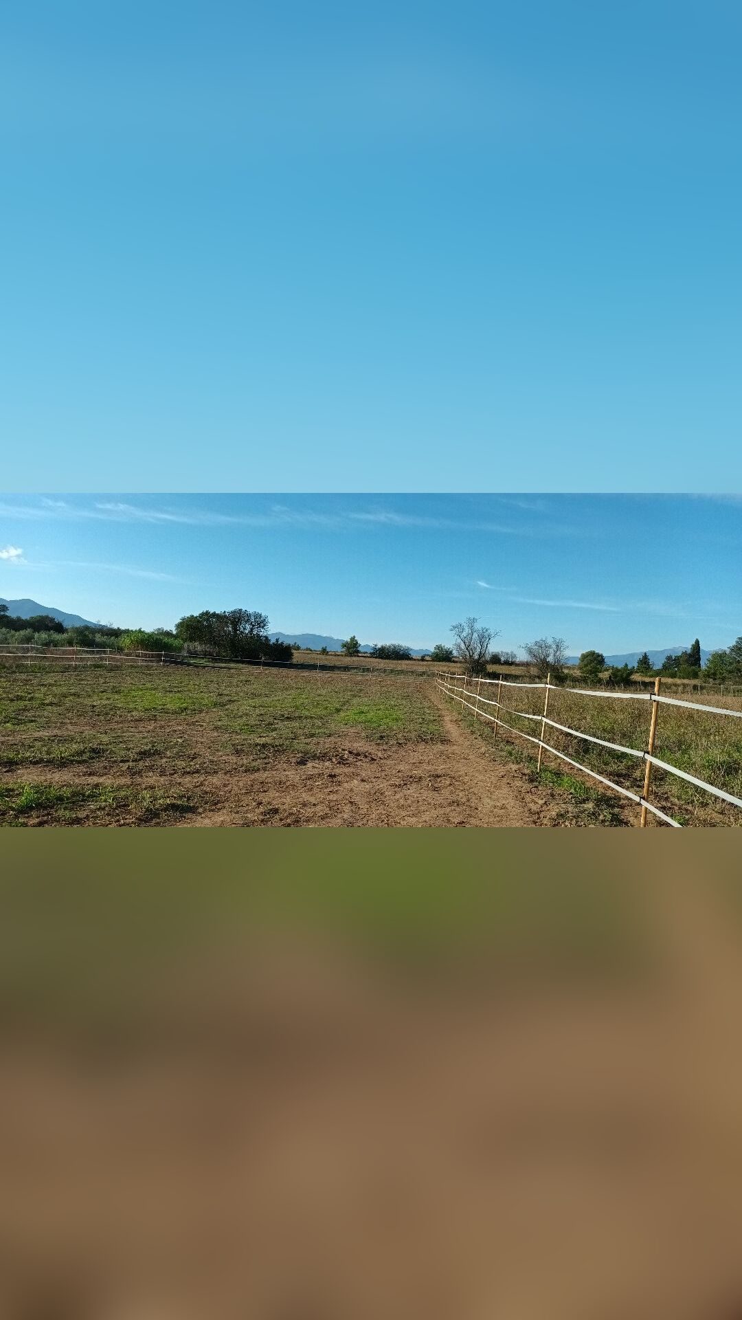 Location, média 4