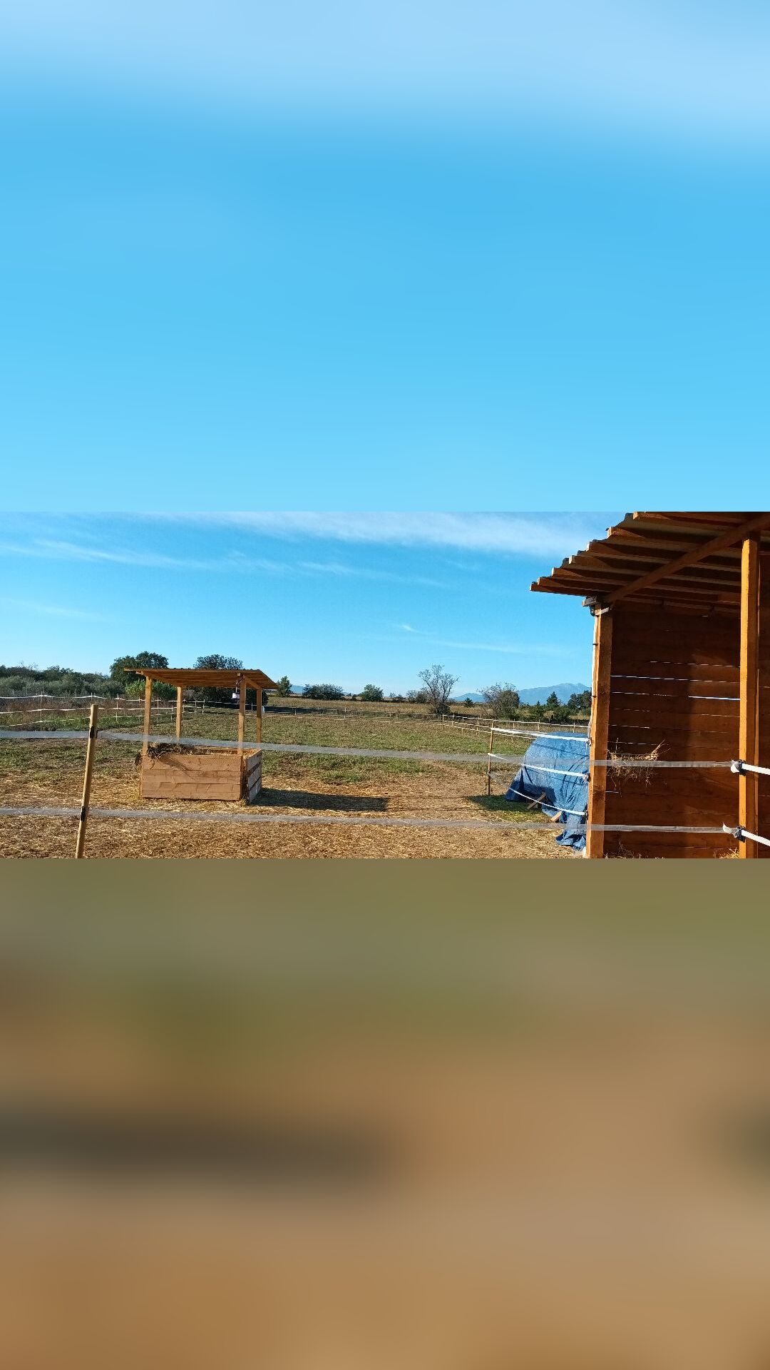 Location, média 5
