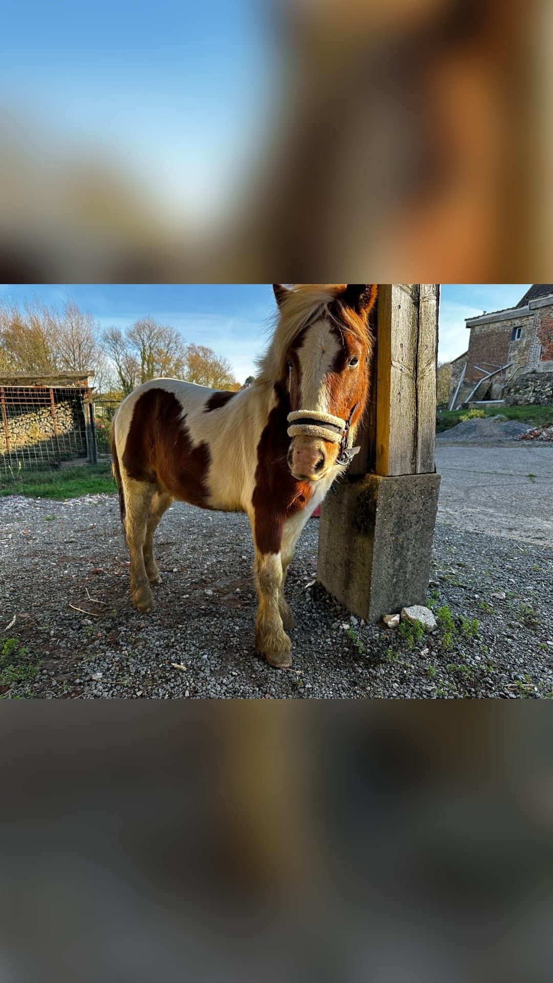 LOUVIE, média 3