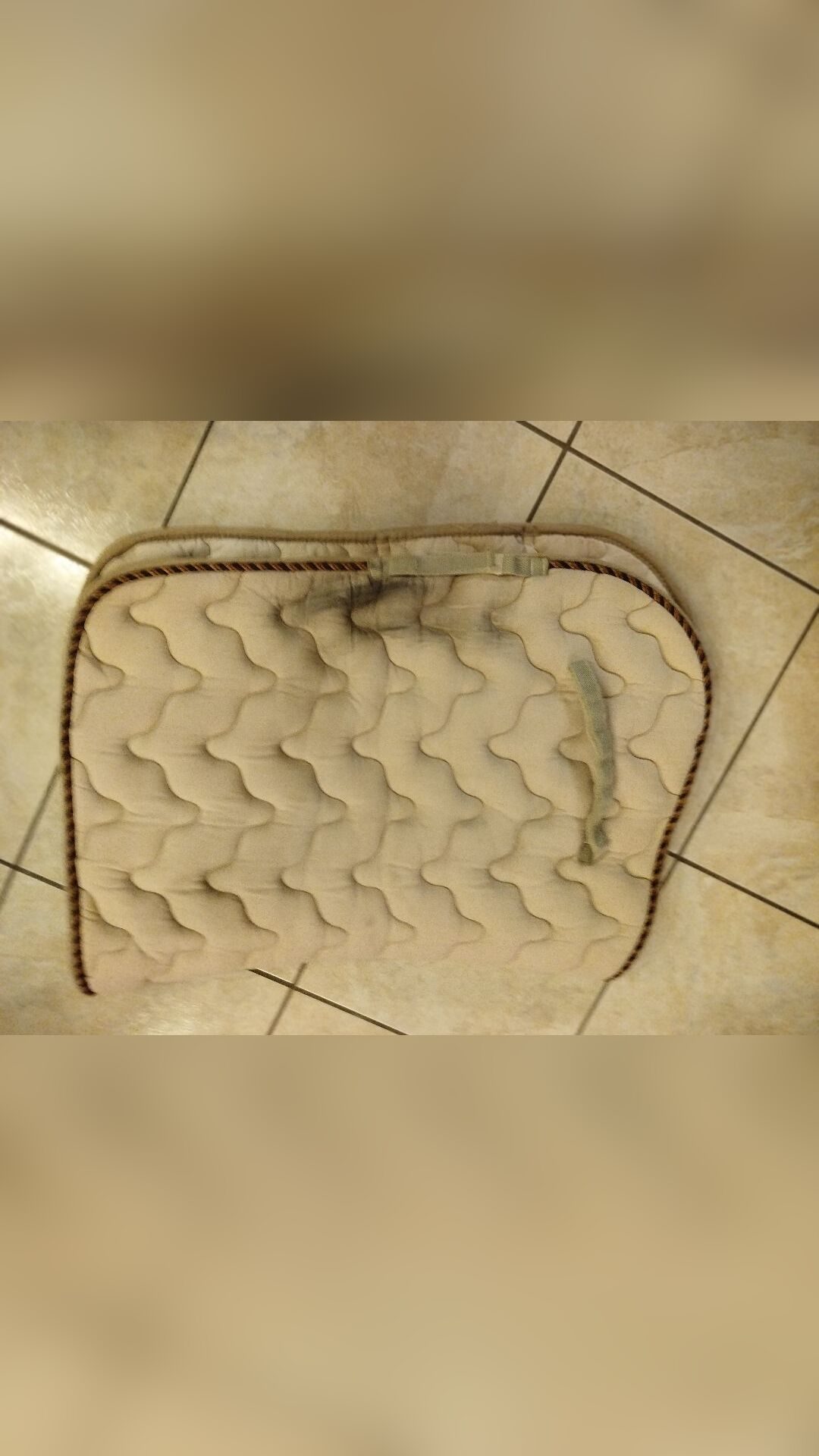 Tapis, média 6