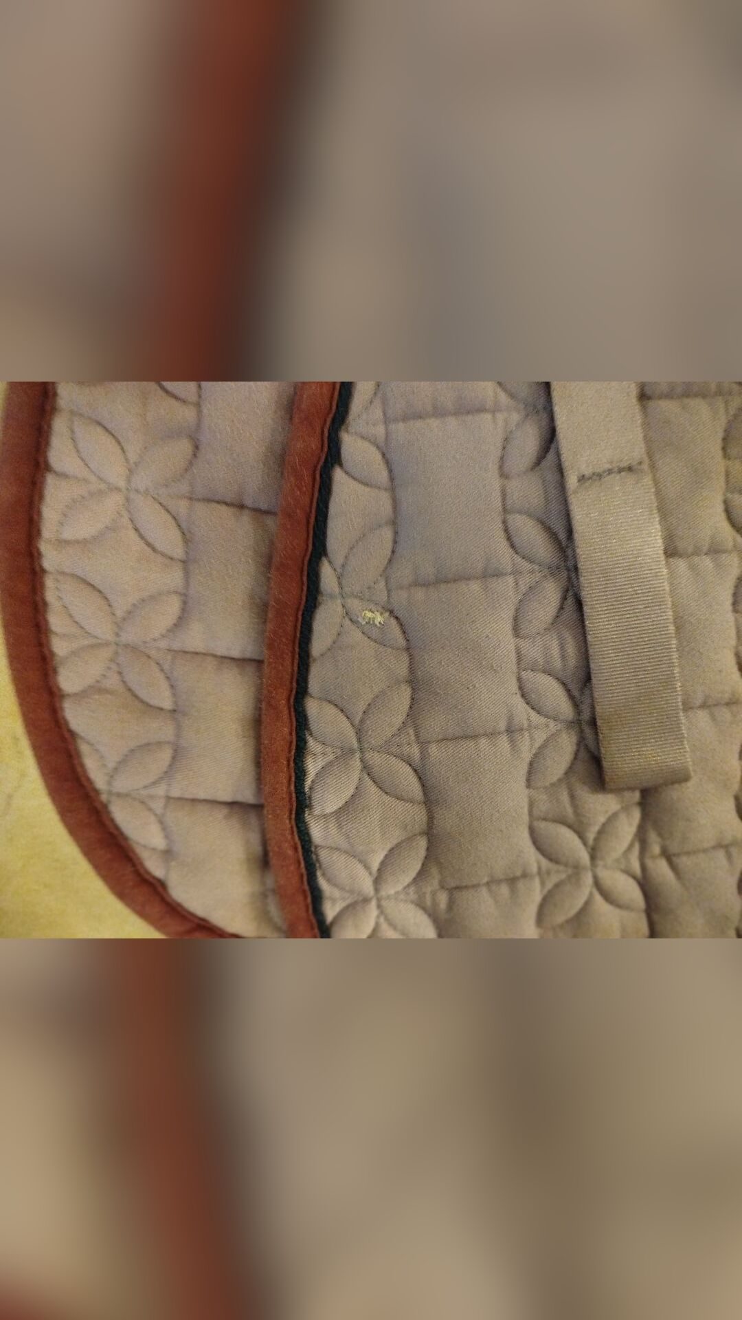 Tapis, média 4