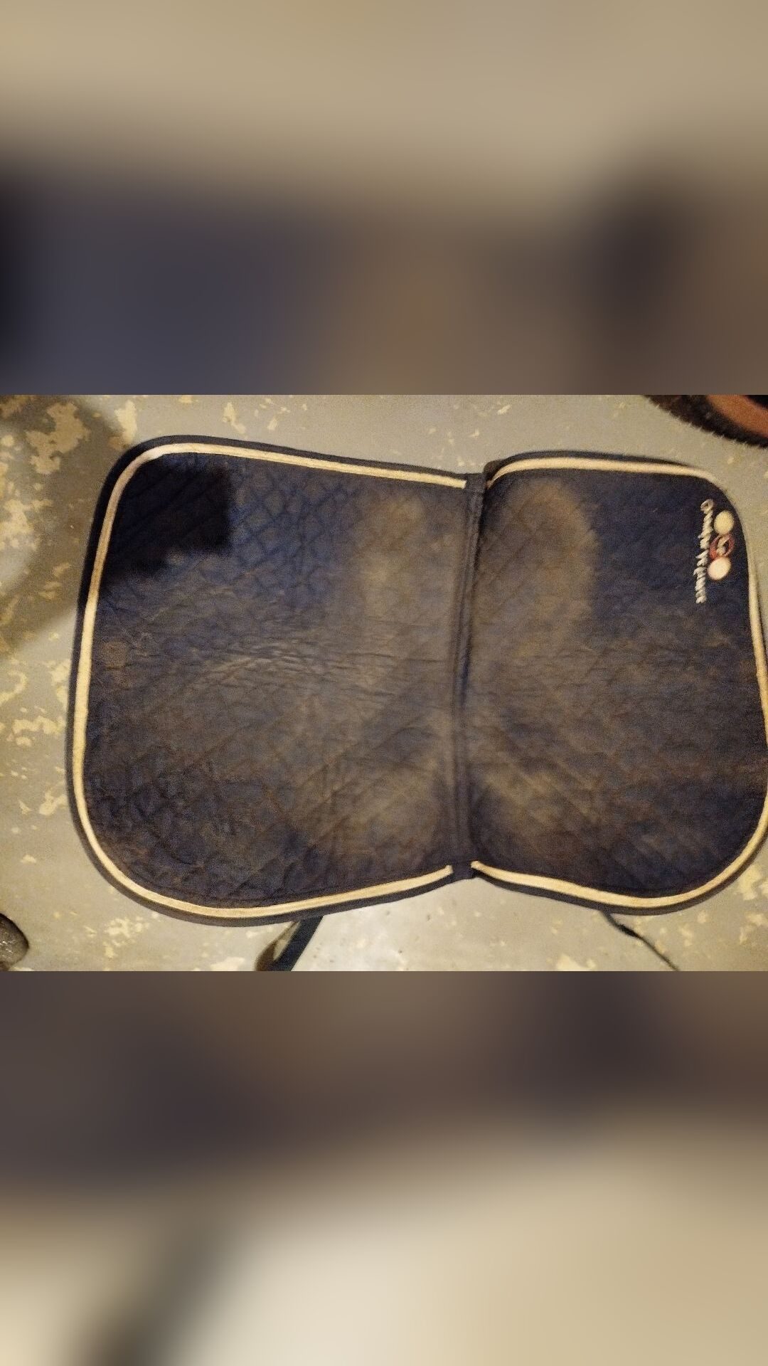 Tapis Lamotte Beuvron, média 3
