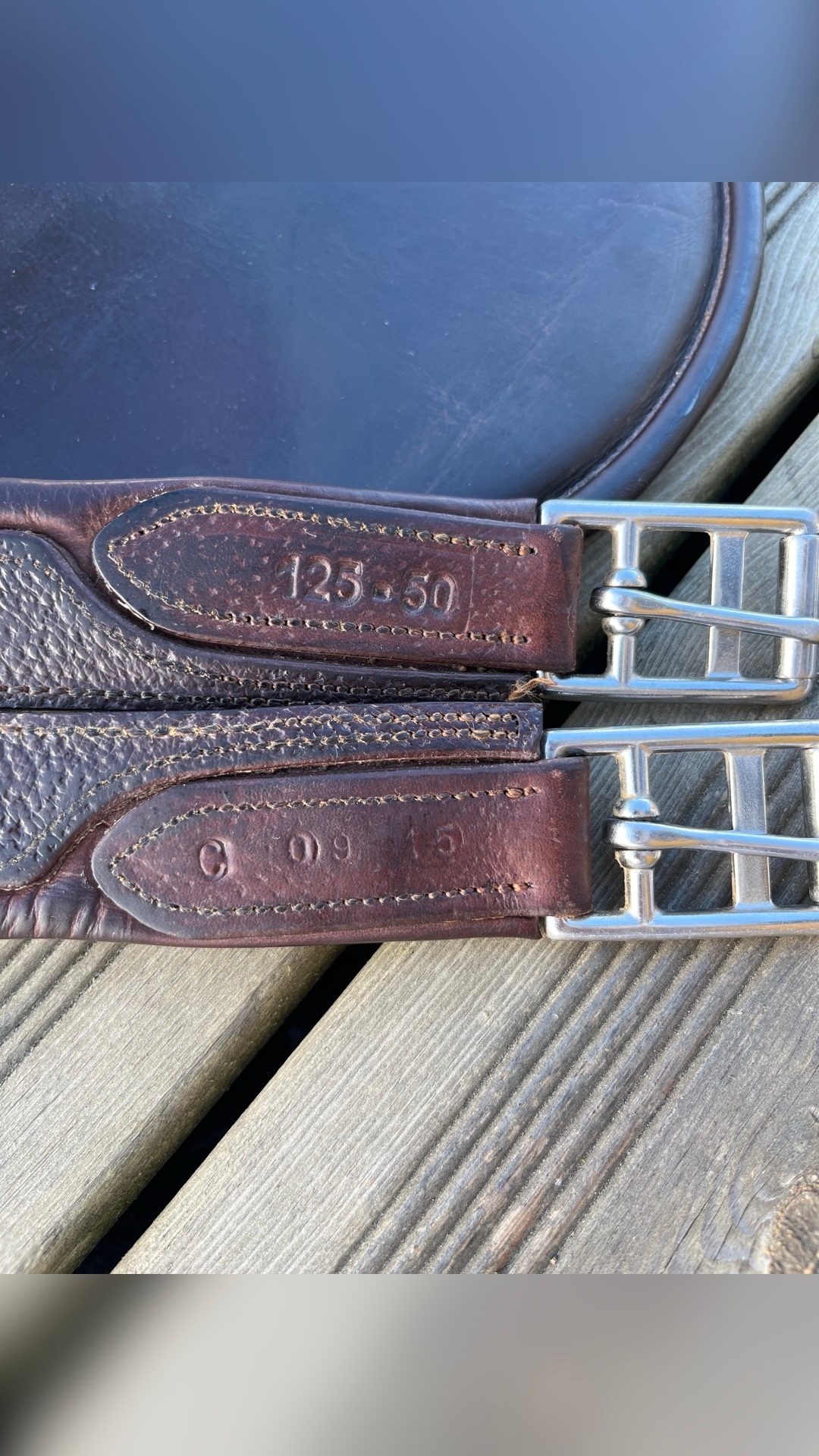 Sangle bavette CWD, média 2