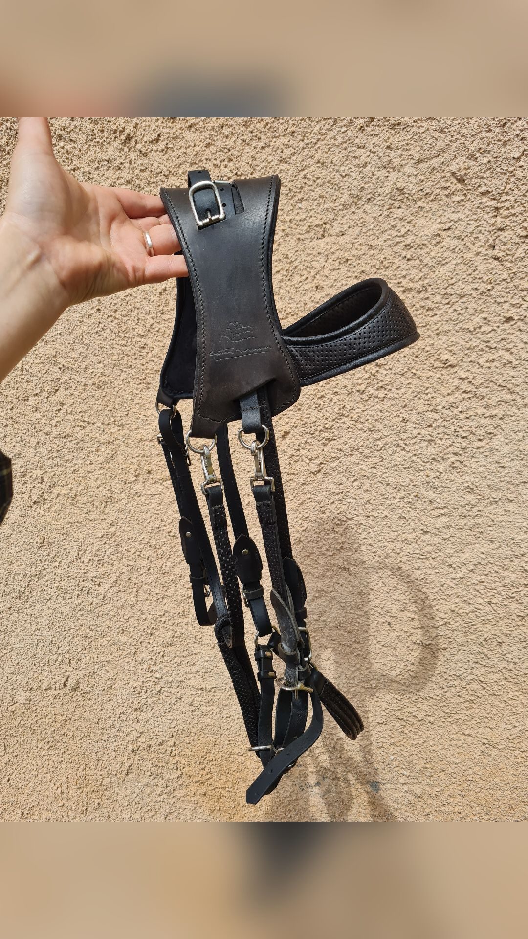 Bridon ergonomique licol randonnée Gaston Mercier, média 4