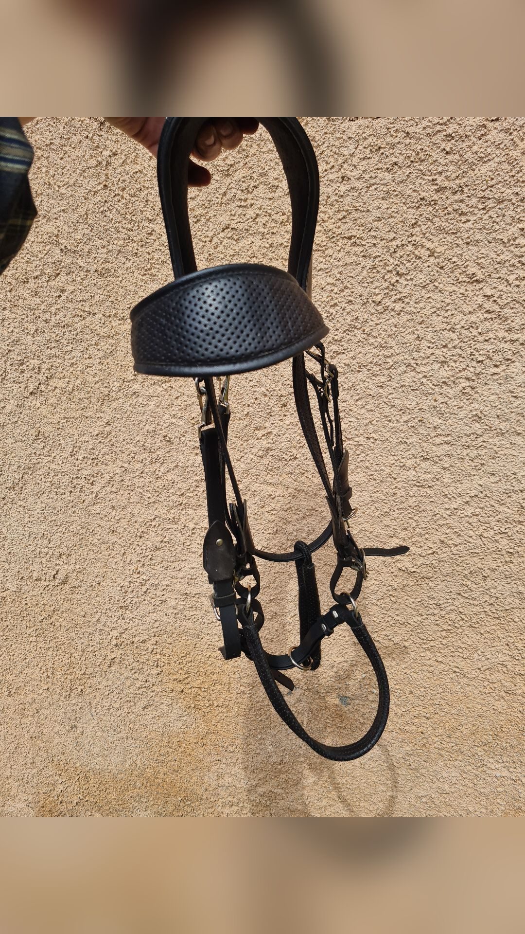 Bridon ergonomique licol randonnée Gaston Mercier, média 5
