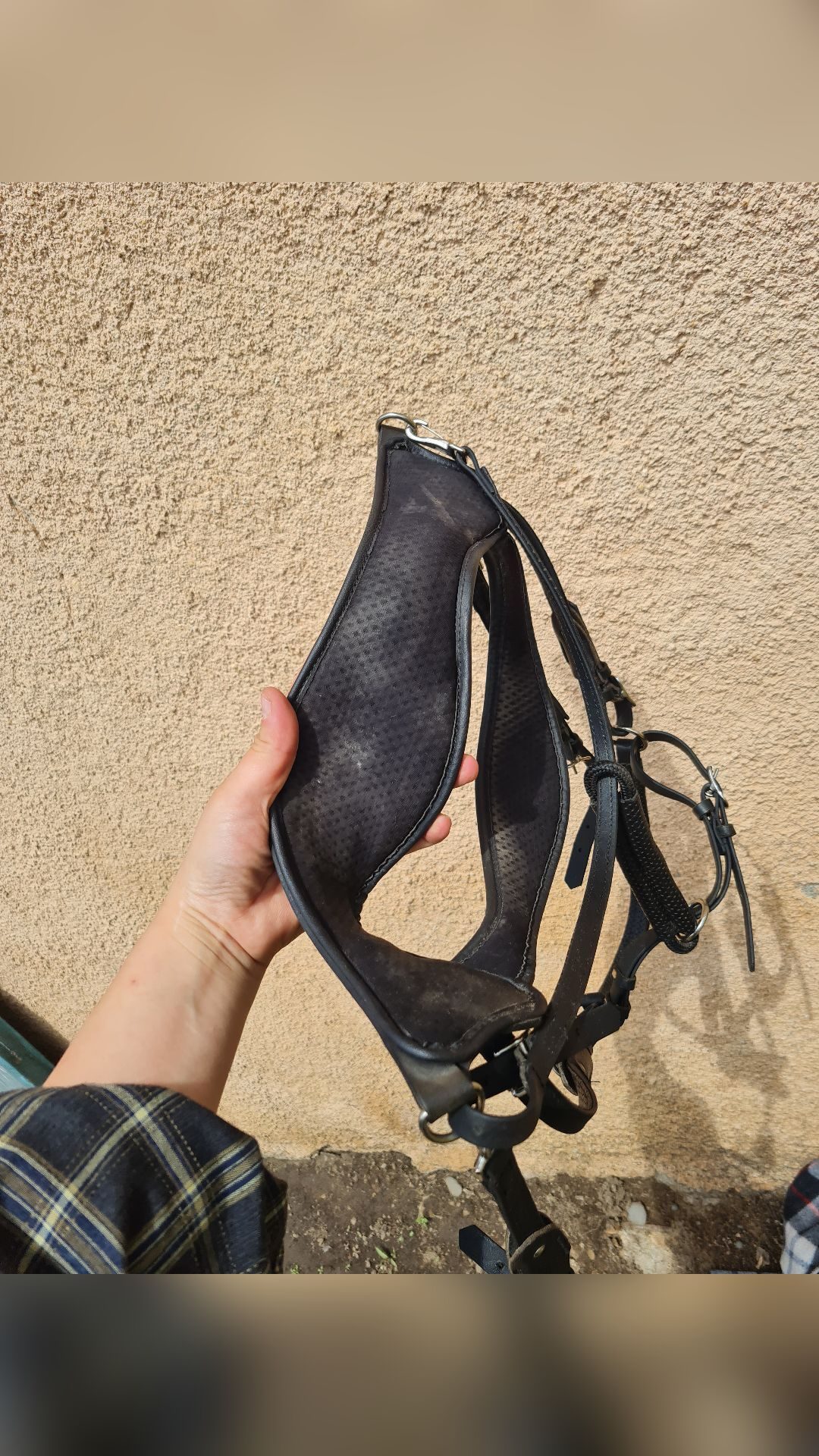 Bridon ergonomique licol randonnée Gaston Mercier, média 6