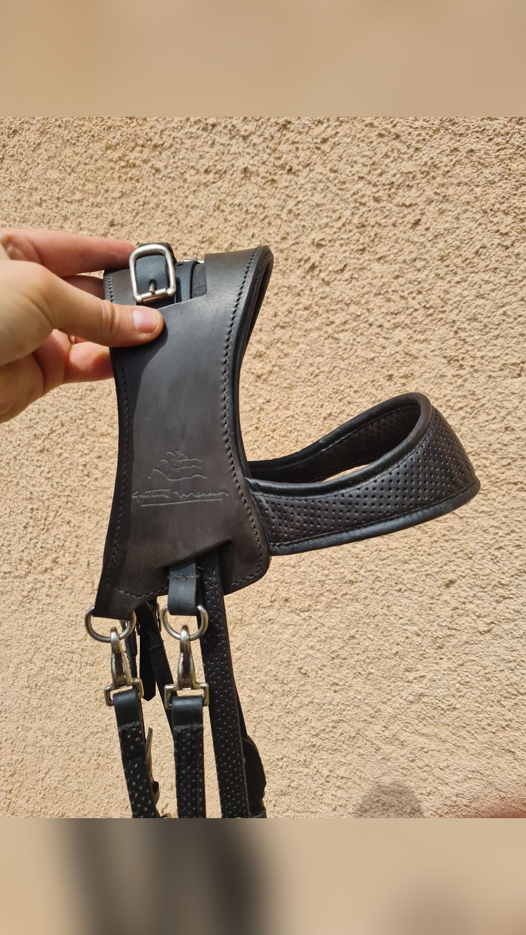Bridon ergonomique licol randonnée Gaston Mercier, média 7