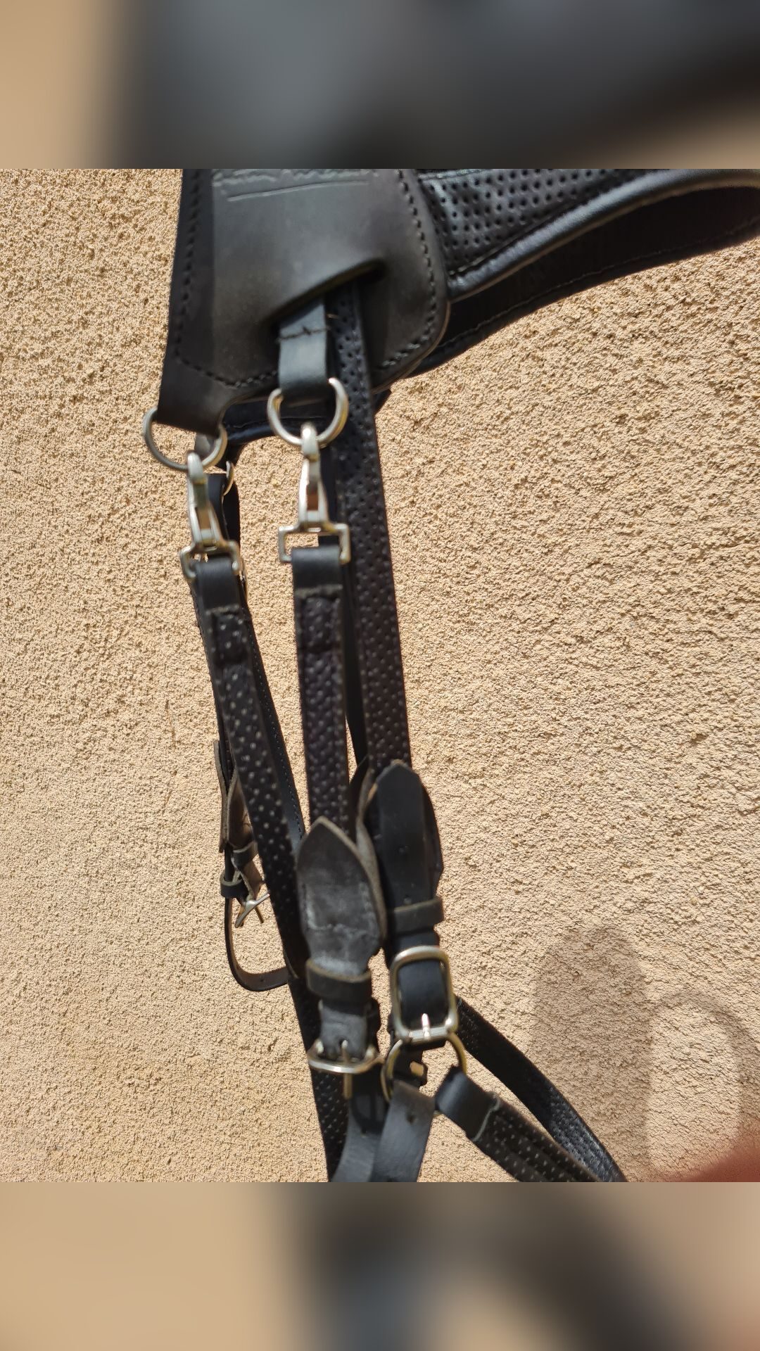 Bridon ergonomique licol randonnée Gaston Mercier, média 8