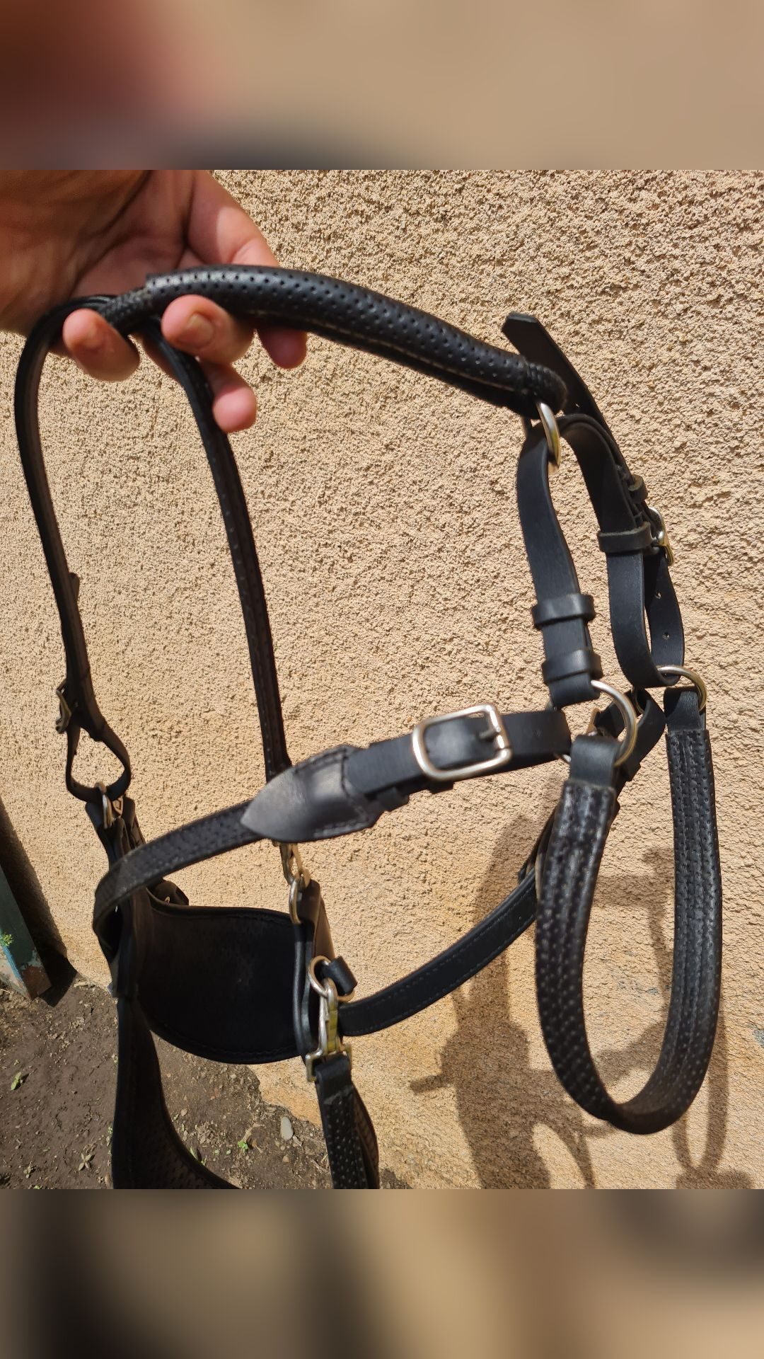 Bridon ergonomique licol randonnée Gaston Mercier, média 10
