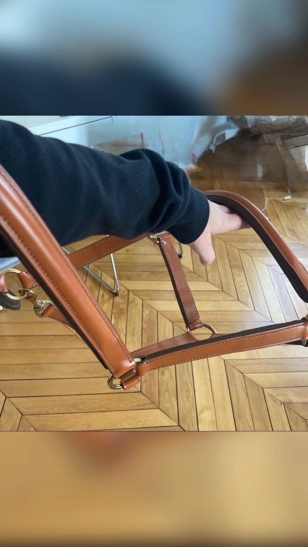Licol et longe, média 7