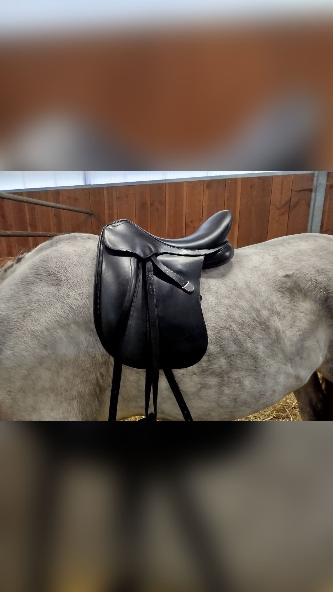 Selle dressage 17pouces, média 6
