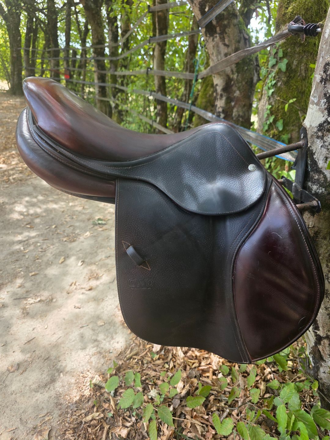 Selle CWD, média 2