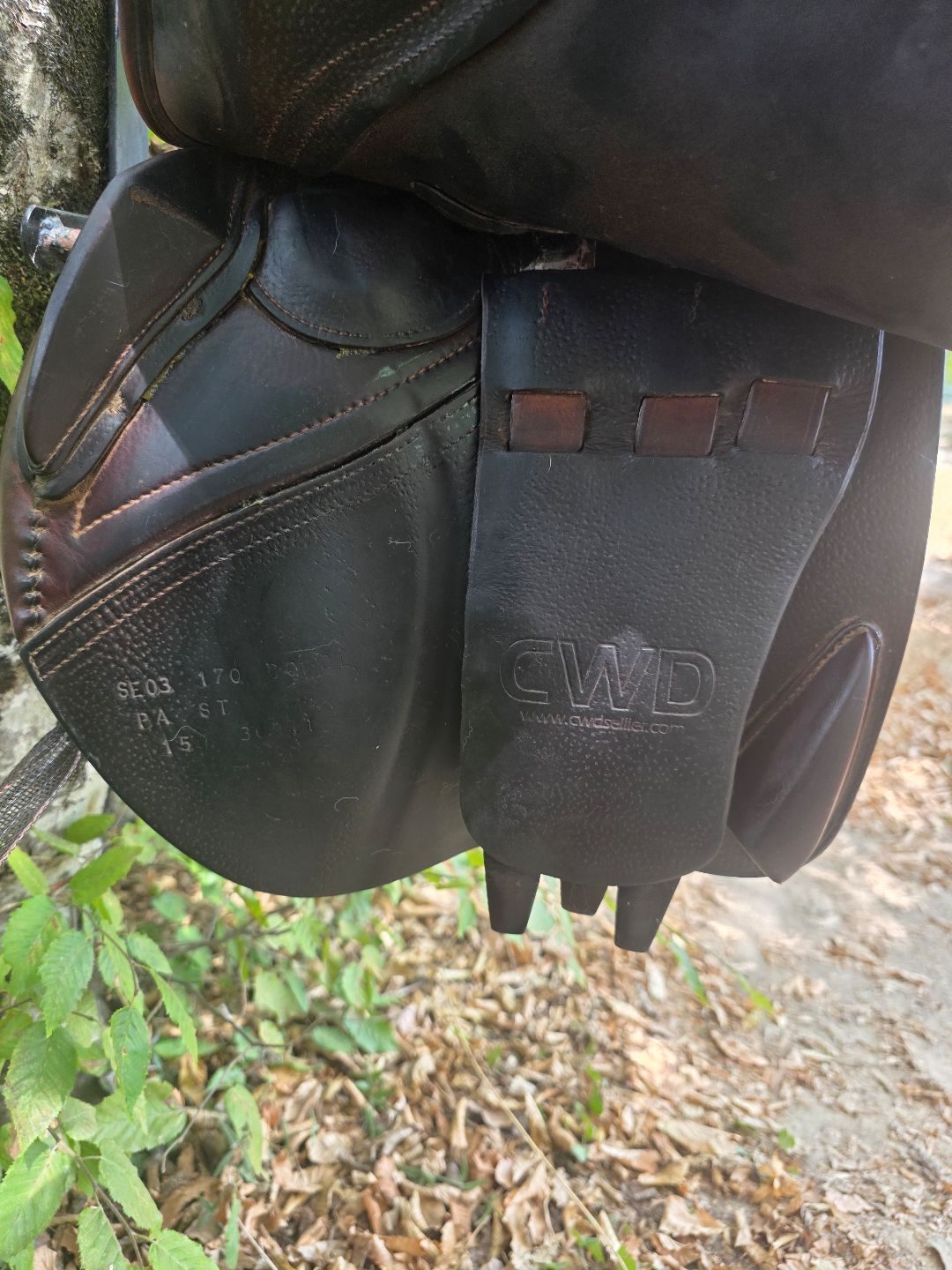 Selle CWD, média 8
