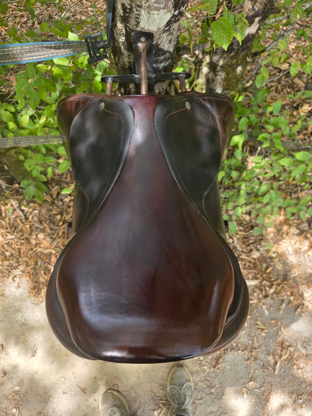 Selle CWD, média 3