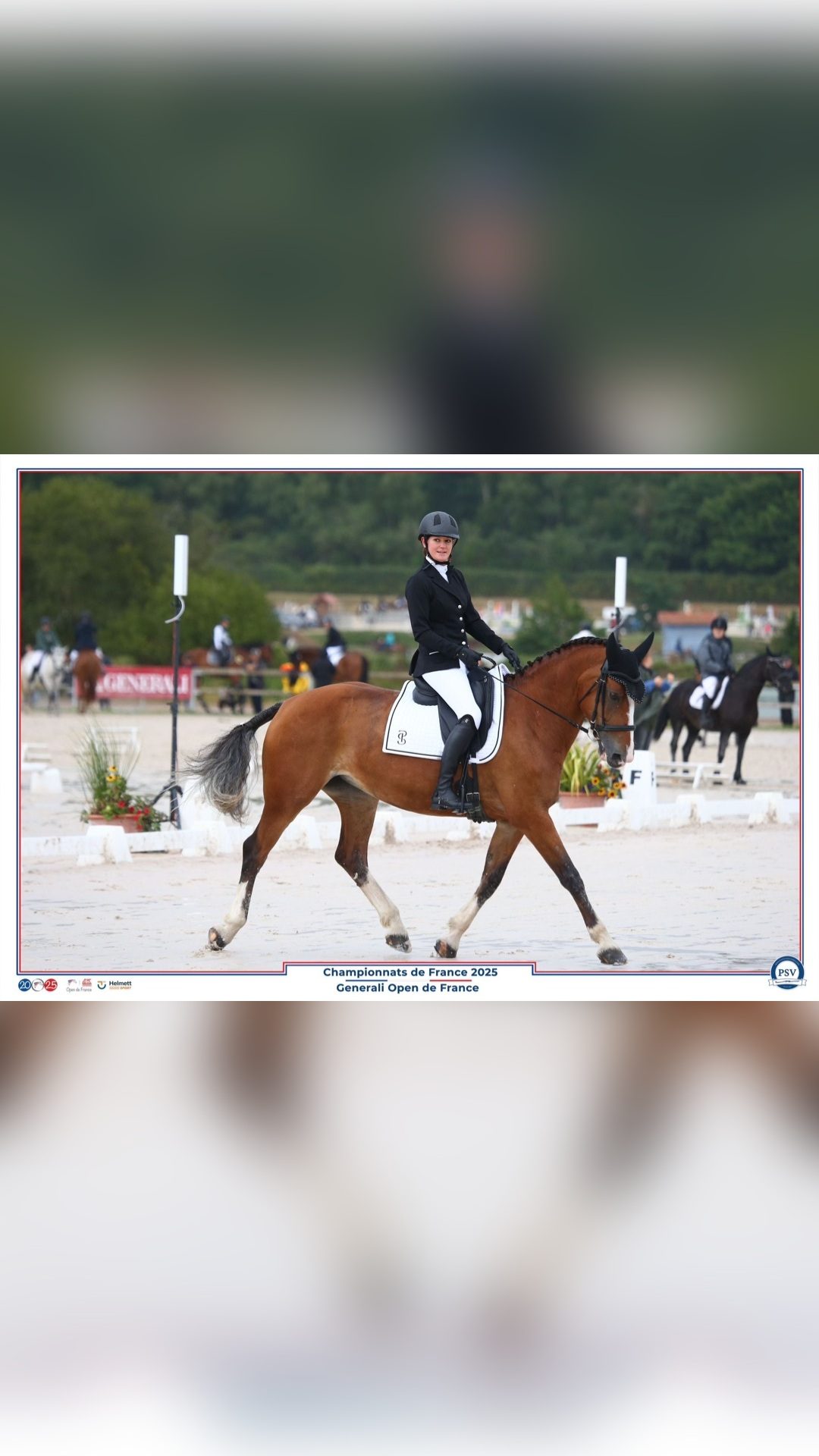 CARESSE DE MARLEMONT, média 2