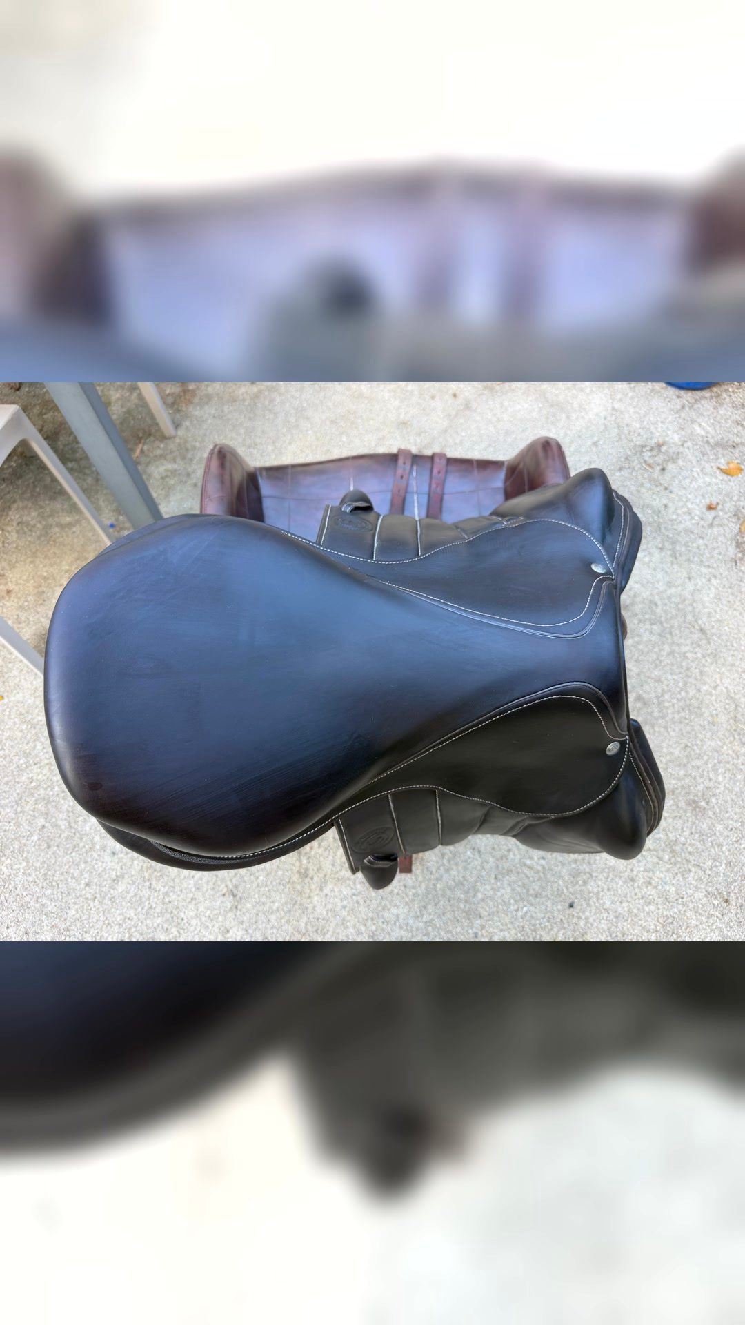 Selle forestier, média 4
